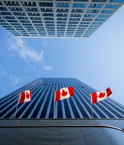 Three Canadian flags in front of a business building