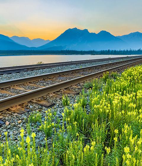 Railway, wildflowers and mountains.